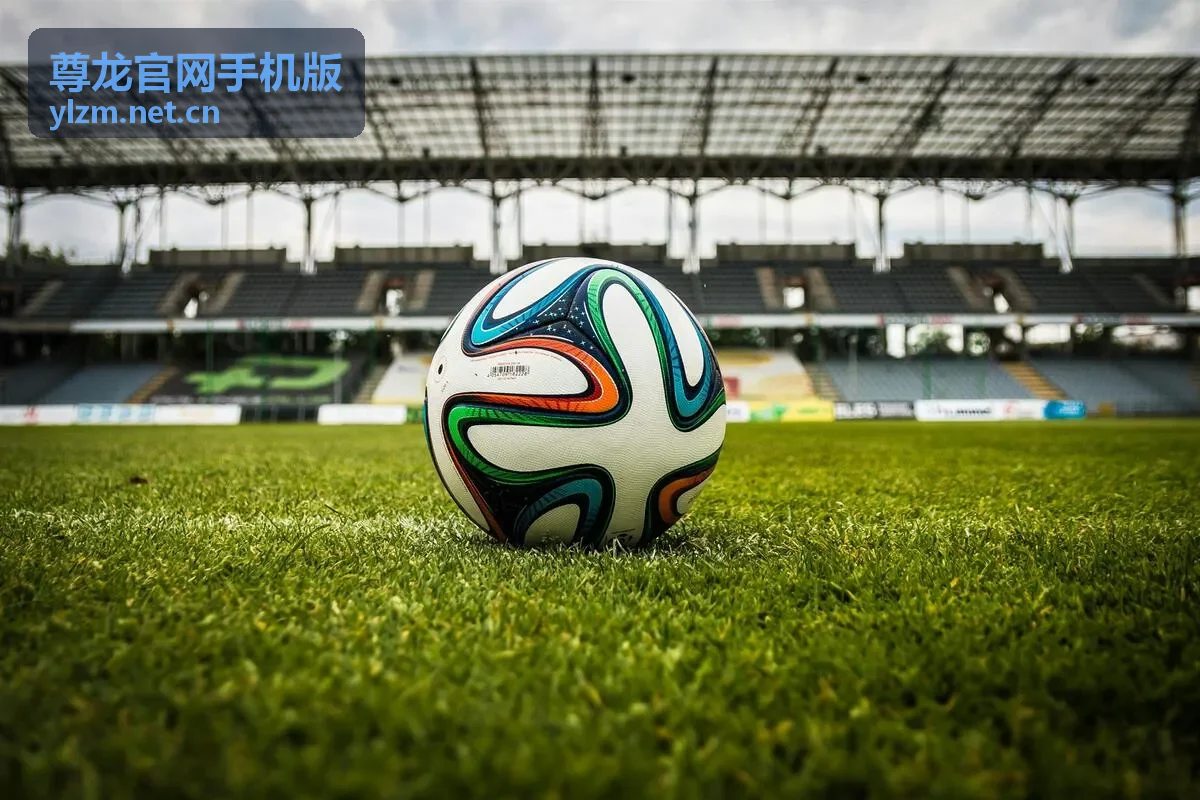 尊龙官网手机版安全验证与账号管理